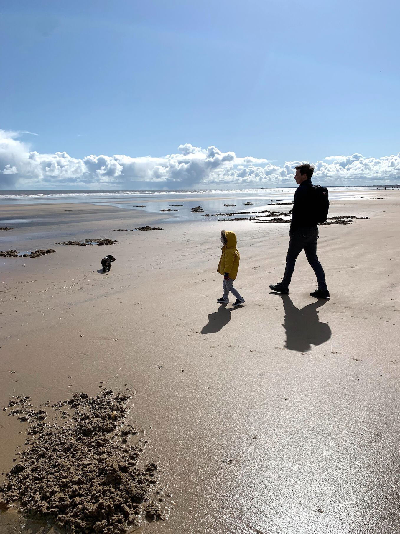 swanbridge wealth management